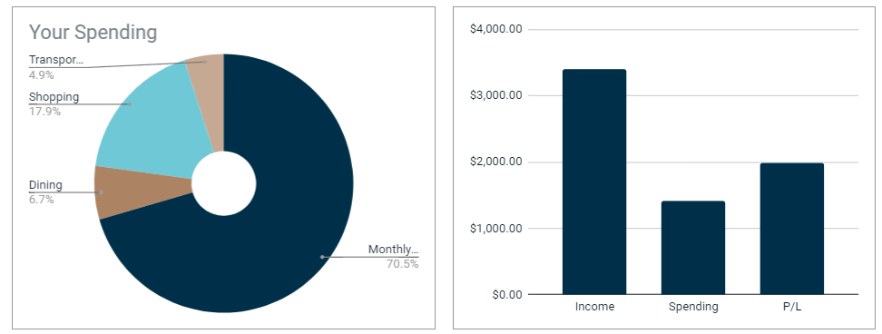 Pie chart and bar chart of your spending.