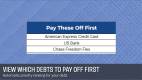 debtpayoffcalculator_debtpriority